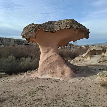 Cappadocia Beyaz 2